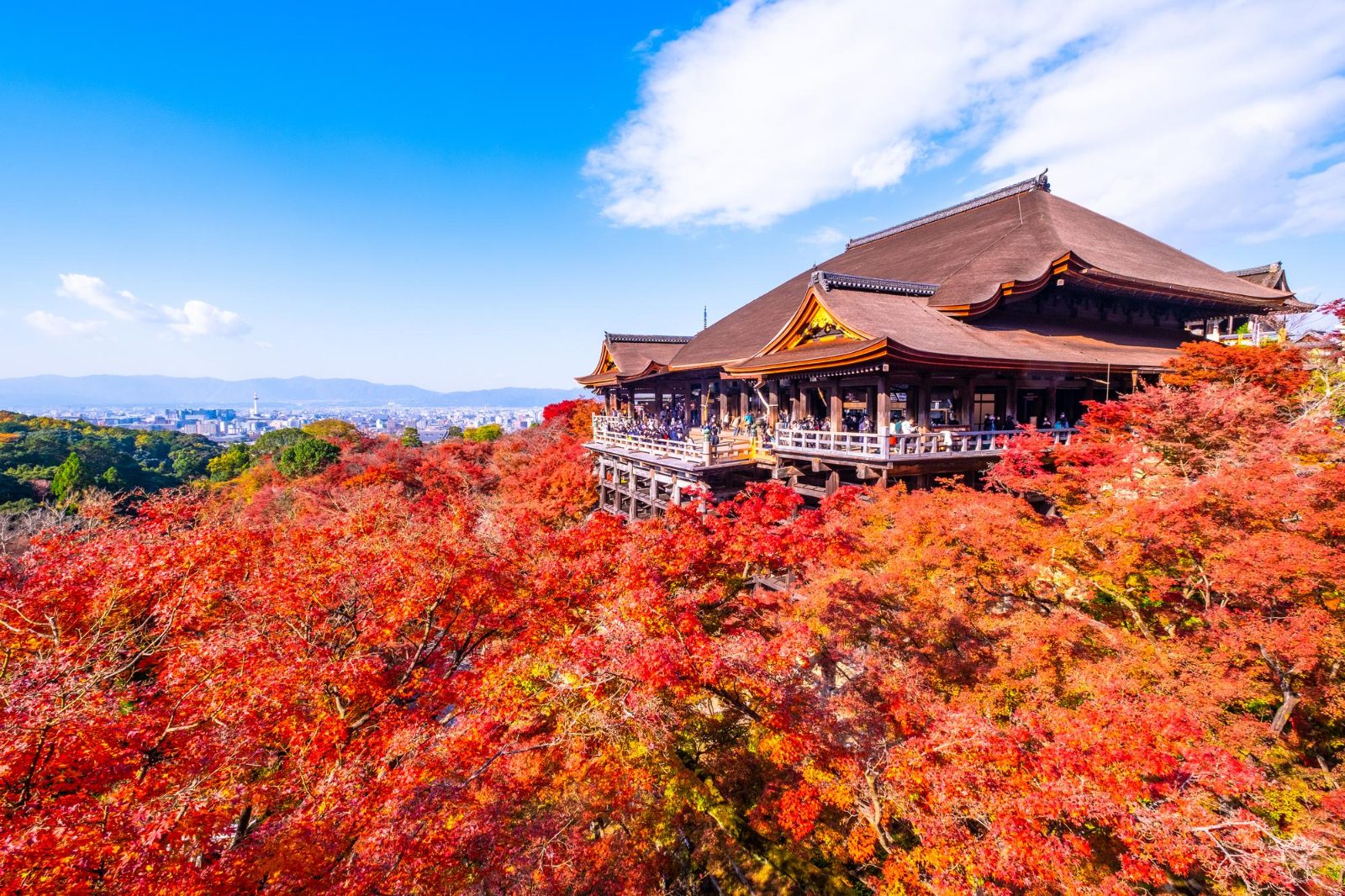 Essência de Kyoto — foto 1