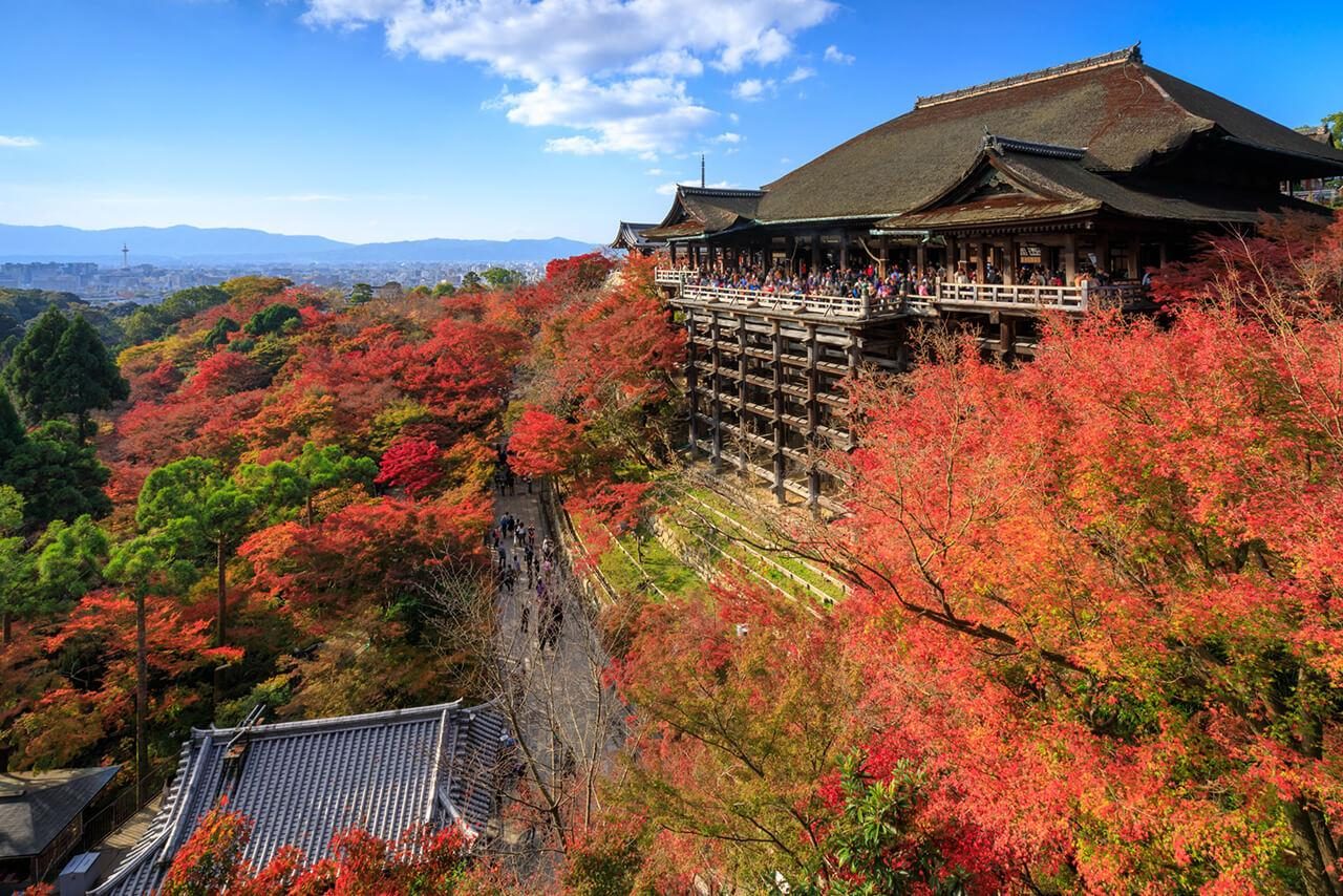 Essência de Kyoto — foto 4