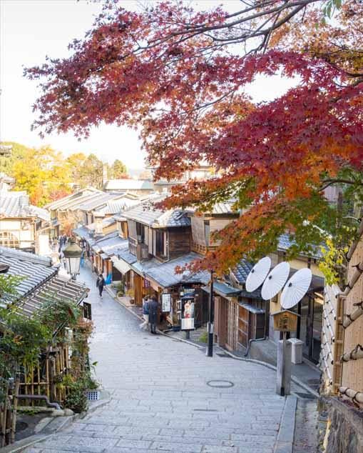 Essência de Kyoto — foto 5